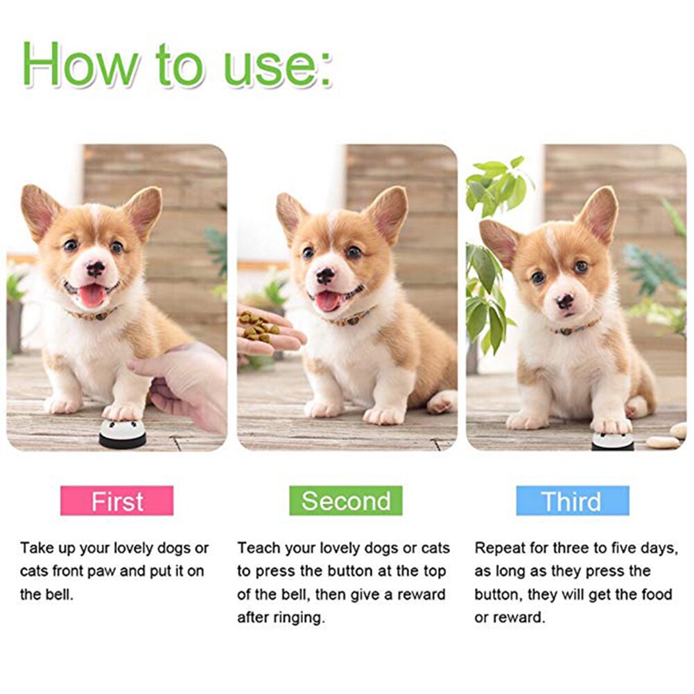 Non-Slip Pet Training Bell for Dogs and Cats by HitMyNeed