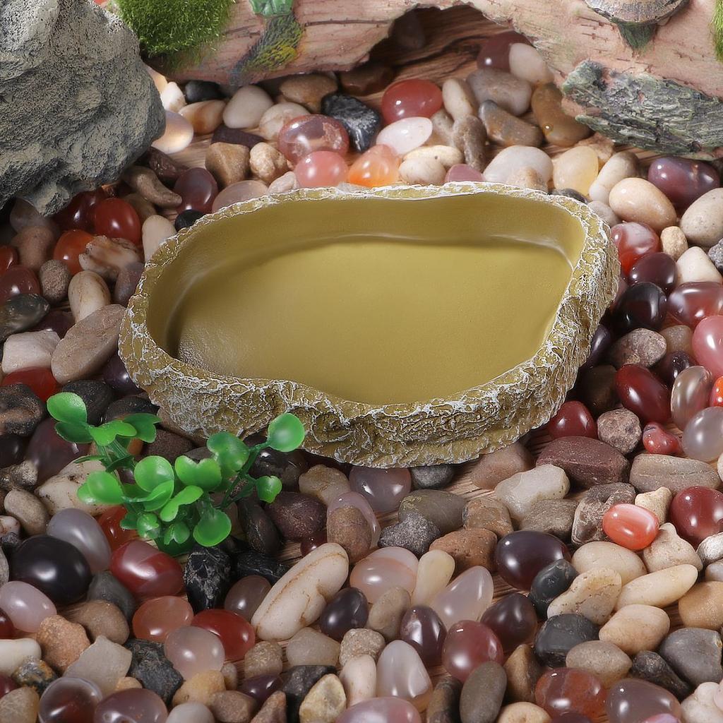Non Slip Resin Reptile Water Bowl 11 x 7.8cm by HitMyNeed