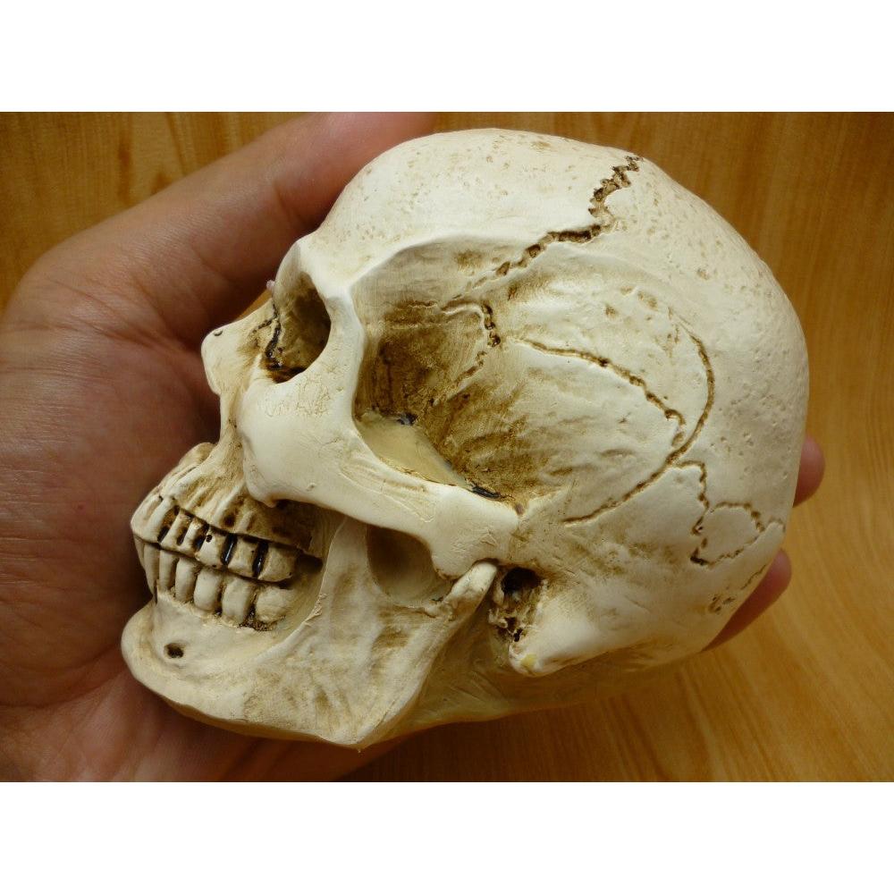 Non-Stick 3D Silicone Skull Mold for Baking & Crafts by HitMyNeed