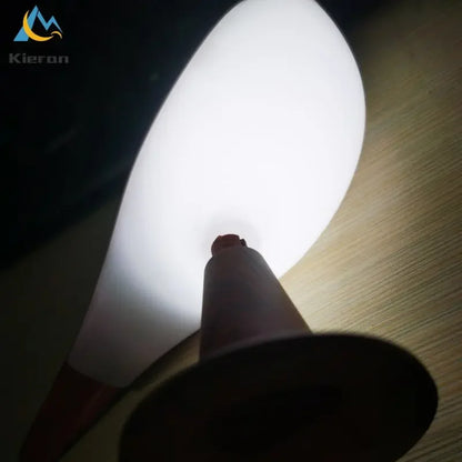 Nordic Magpie LED Desk & Aromatherapy Lamp by HitMyNeed