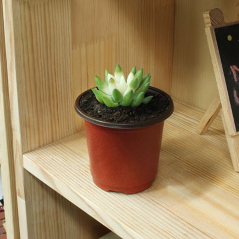 Nursery Pots 100 Pack - 10cm Plastic Plant Containers by HitMyNeed