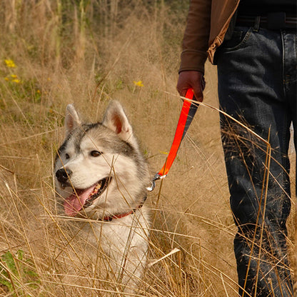 Nylon Rope Dog Leash with Shock-Absorbing Spring by HitMyNeed