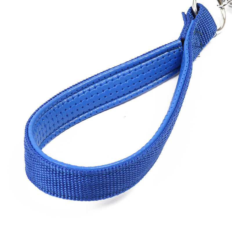 Nylon Rope Dog Leash with Shock-Absorbing Spring by HitMyNeed