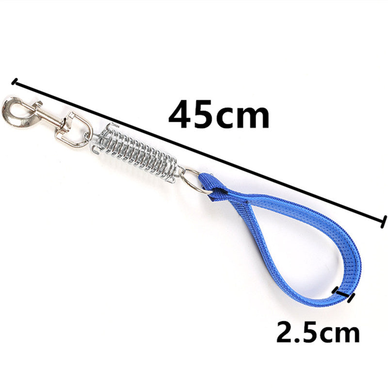 Nylon Rope Dog Leash with Shock-Absorbing Spring blue by HitMyNeed