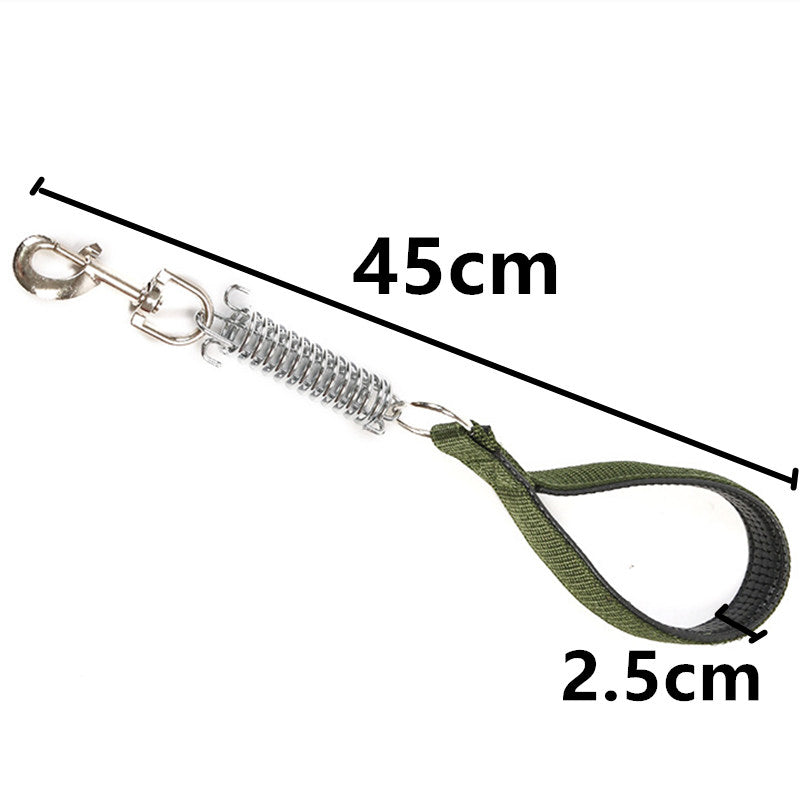 Nylon Rope Dog Leash with Shock-Absorbing Spring green by HitMyNeed