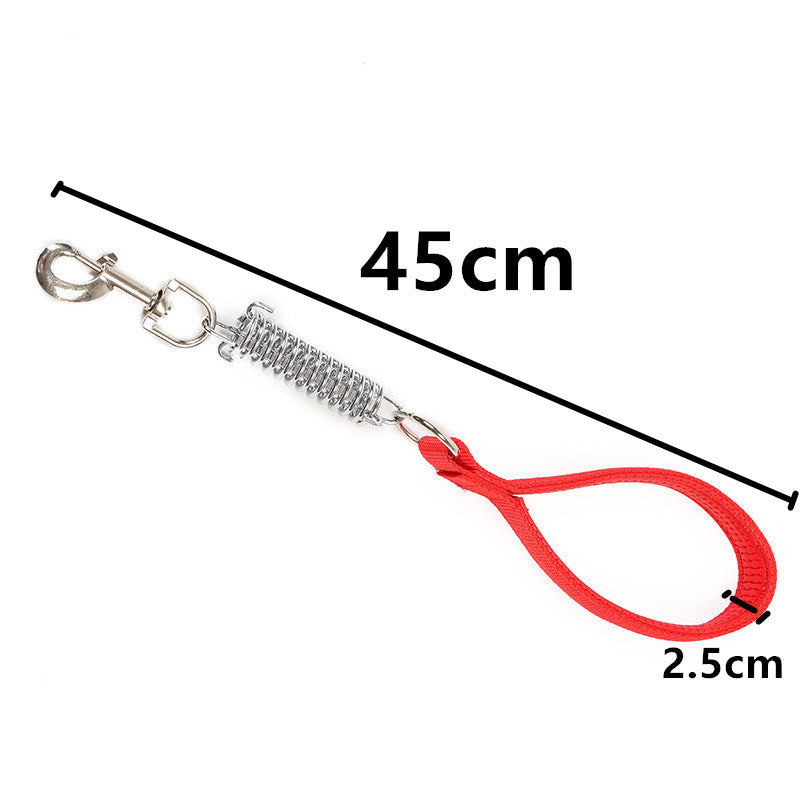 Nylon Rope Dog Leash with Shock-Absorbing Spring red by HitMyNeed