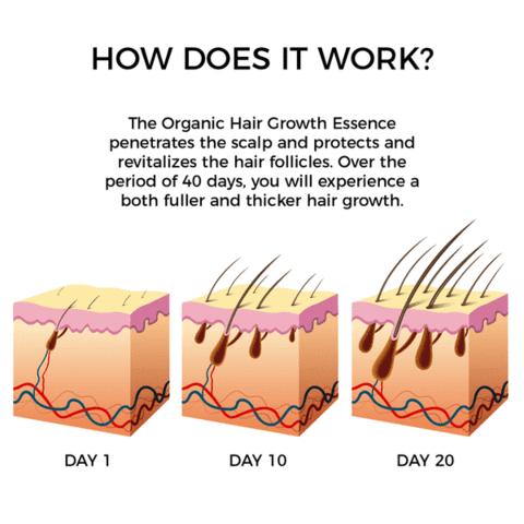 Organic Hair Growth Essence with Herbal Extracts by HitMyNeed