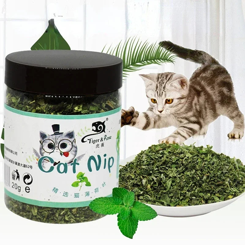 Organic Natural Catnip Powder Mint Interactive Toy 20g by HitMyNeed