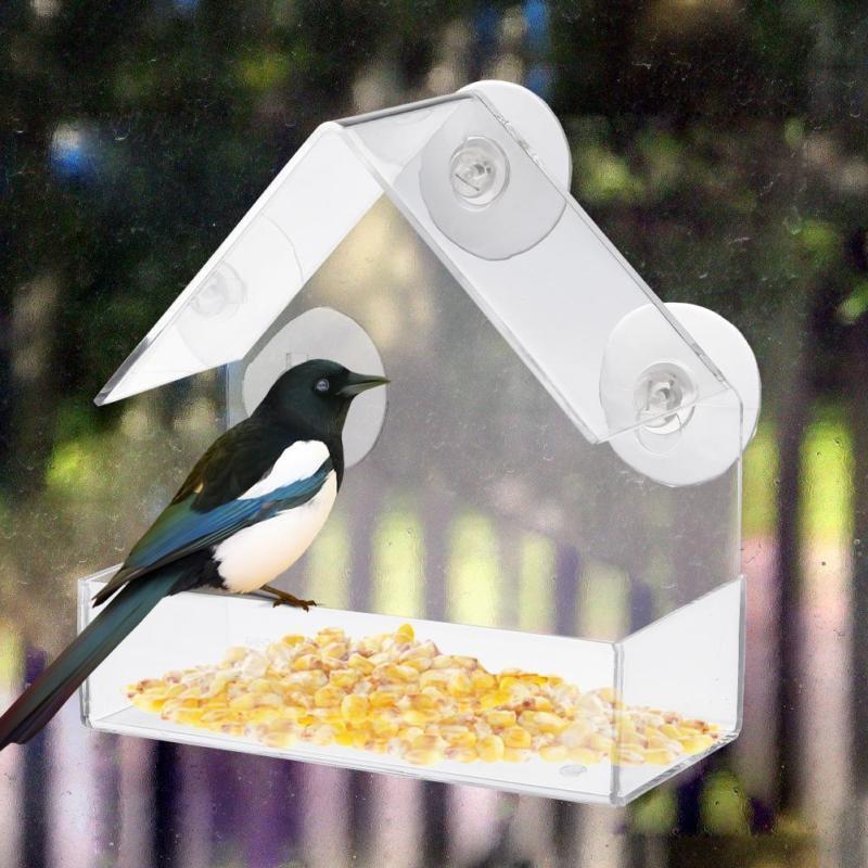 Outdoor Clear Window Bird Feeder with Suction Cups by HitMyNeed