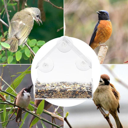 Outdoor Clear Window Bird Feeder with Suction Cups by HitMyNeed