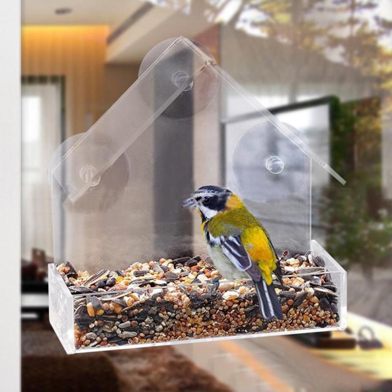 Outdoor Clear Window Bird Feeder with Suction Cups by HitMyNeed