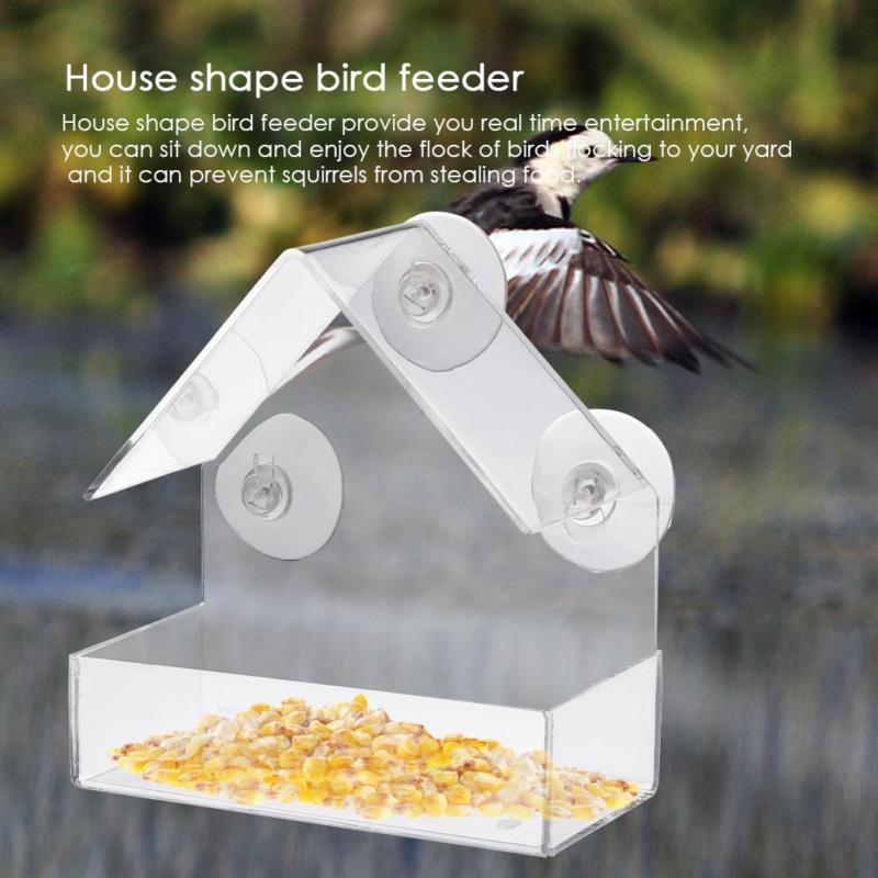 Outdoor Clear Window Bird Feeder with Suction Cups by HitMyNeed