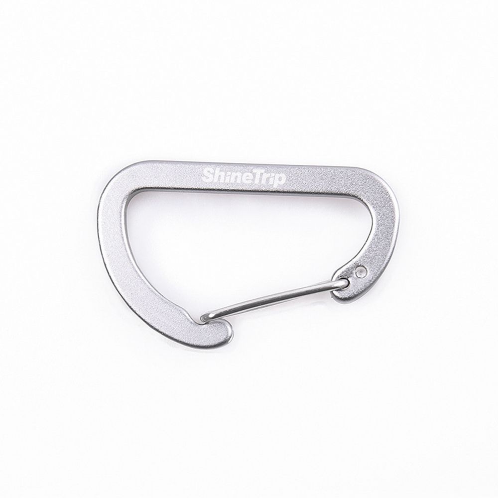 Outdoor D-Shaped Aluminum Carabiner Clip silver by HitMyNeed