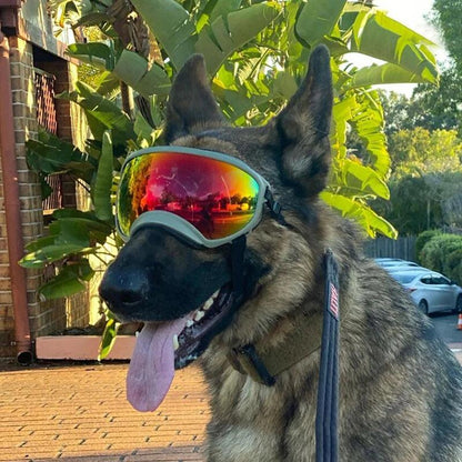 Outdoor Dog Goggles UV400 Anti-Fog Sunglasses by HitMyNeed