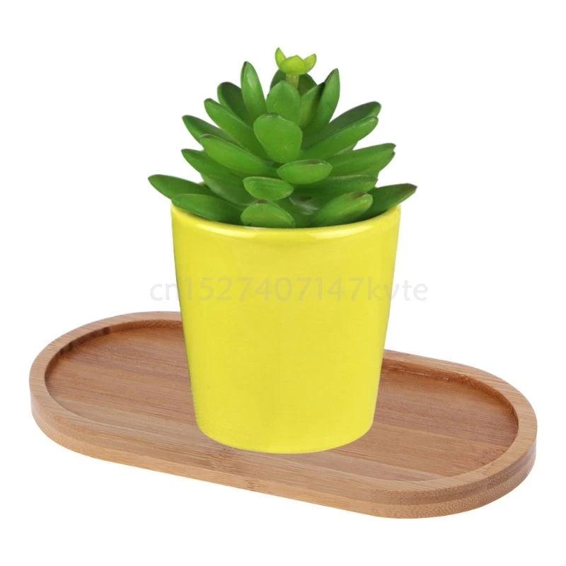 Oval Bamboo Wood Small Plant Tray by HitMyNeed