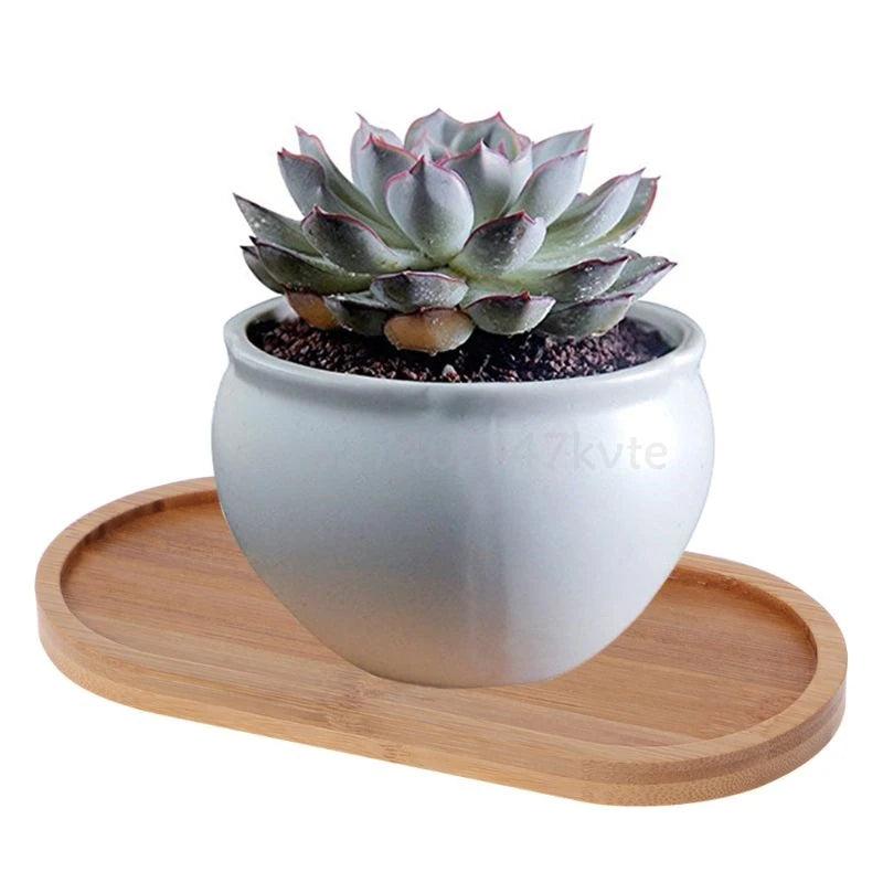 Oval Bamboo Wood Small Plant Tray by HitMyNeed