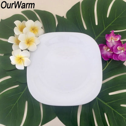 Palm Leaf Placemats Artificial Leaves (12 Pack) by HitMyNeed