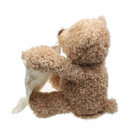 Peek a Boo Talking Bear Plush Toy by HitMyNeed