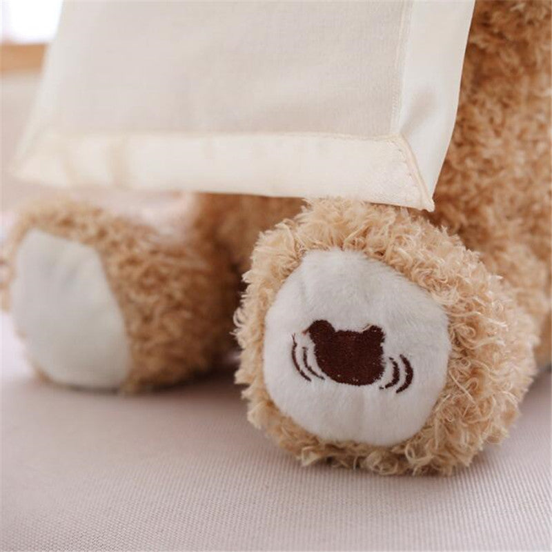 Peek A Boo Talking Teddy Bear Toy 30cm by HitMyNeed