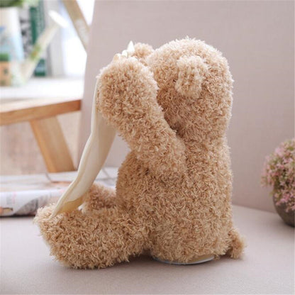 Peek A Boo Talking Teddy Bear Toy 30cm by HitMyNeed
