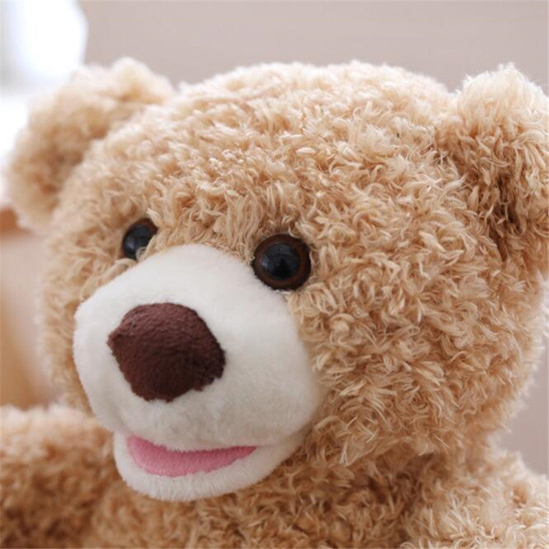 Peek A Boo Talking Teddy Bear Toy 30cm by HitMyNeed