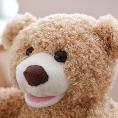 Peek A Boo Talking Teddy Bear Toy 30cm by HitMyNeed