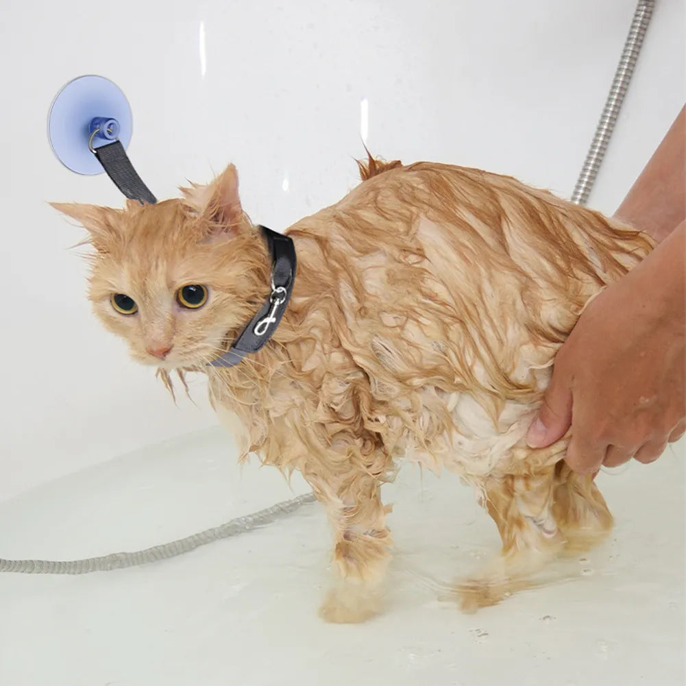 Pet Bath Fixation Strap with Suction Cup Leash by HitMyNeed