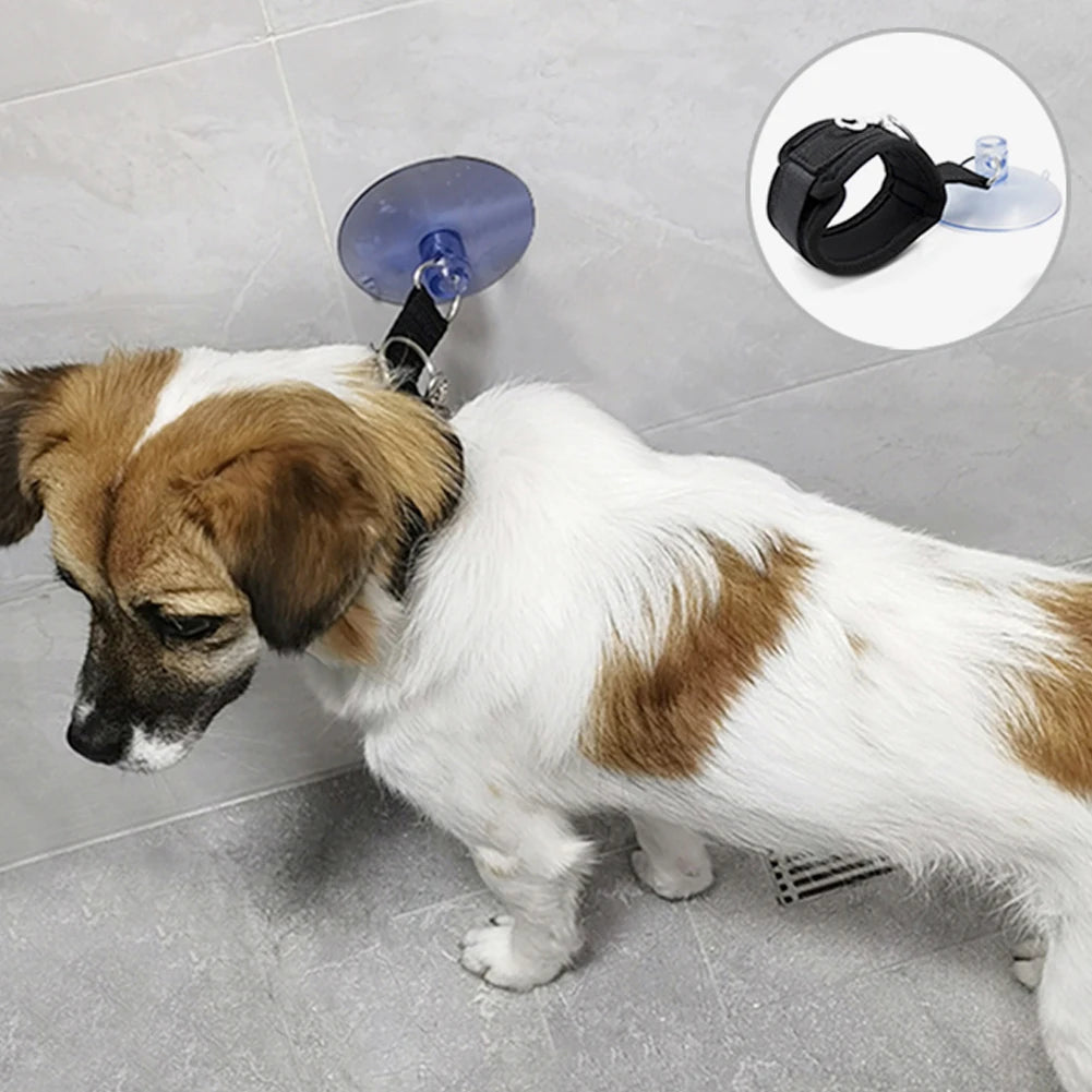 Pet Bath Fixation Strap with Suction Cup Leash by HitMyNeed