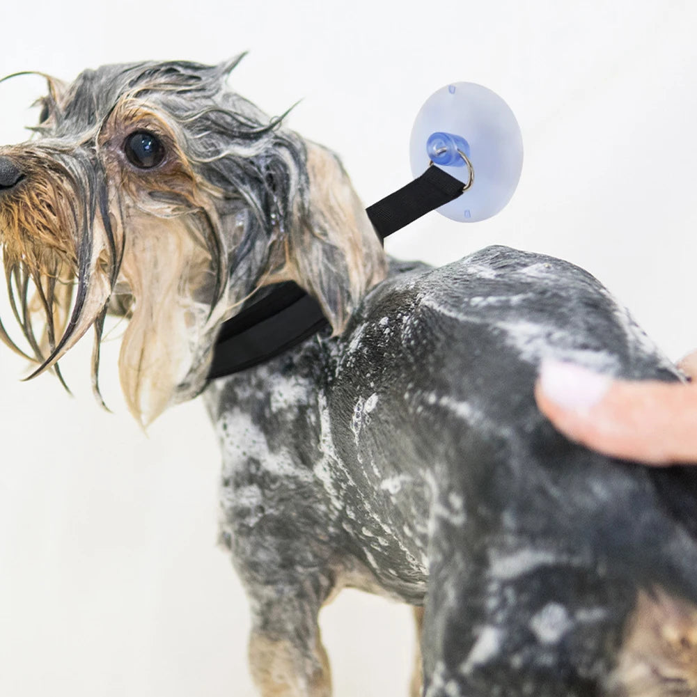 Pet Bath Fixation Strap with Suction Cup Leash by HitMyNeed