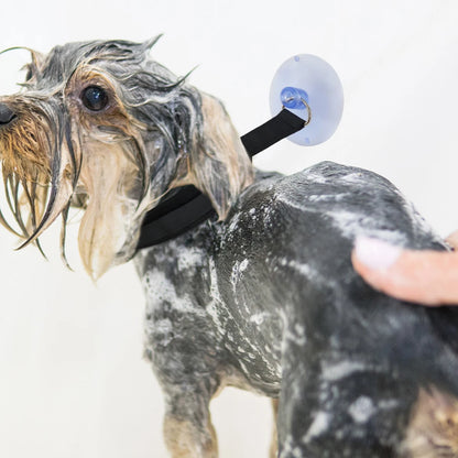Pet Bath Fixation Strap with Suction Cup Leash by HitMyNeed