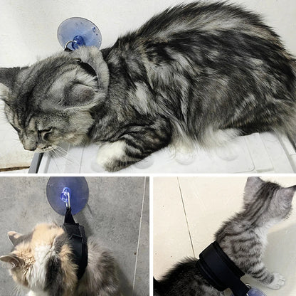 Pet Bath Fixation Strap with Suction Cup Leash by HitMyNeed