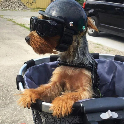 Pet Motorcycle & Bicycle Helmet with Goggles by HitMyNeed