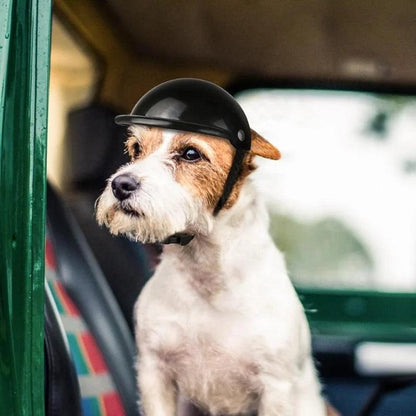 Pet Motorcycle & Bicycle Helmet with Goggles by HitMyNeed