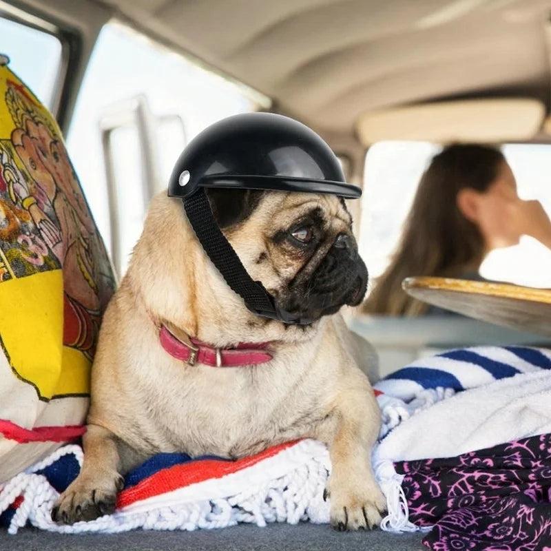 Pet Motorcycle & Bicycle Helmet with Goggles by HitMyNeed