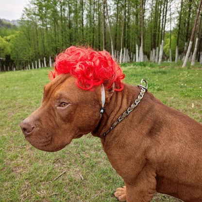 Pet Wig Cosplay Costume for Dogs and Cats 2 by HitMyNeed