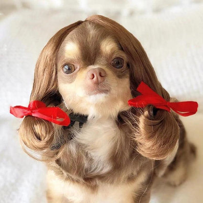 Pet Wig Cosplay Costume for Dogs and Cats 4 by HitMyNeed