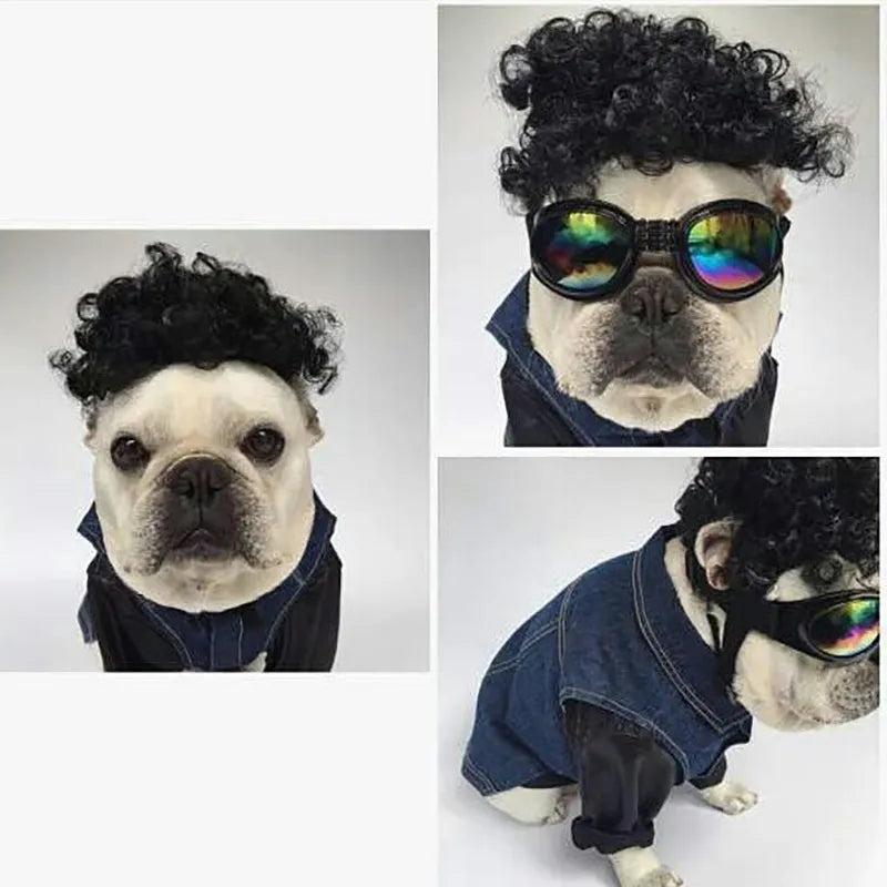 Pet Wig Cosplay Costume for Dogs and Cats by HitMyNeed