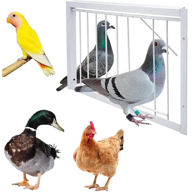 Pigeon Cage Single Entrance Wire Trap Door by HitMyNeed