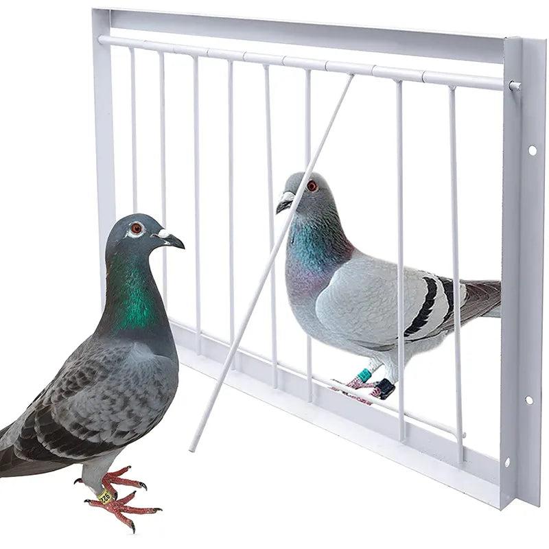 Pigeon Cage Single Entrance Wire Trap Door S - 30cm by HitMyNeed