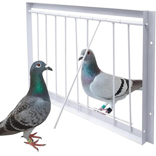 Pigeon Cage Single Entrance Wire Trap Door S - 30cm by HitMyNeed
