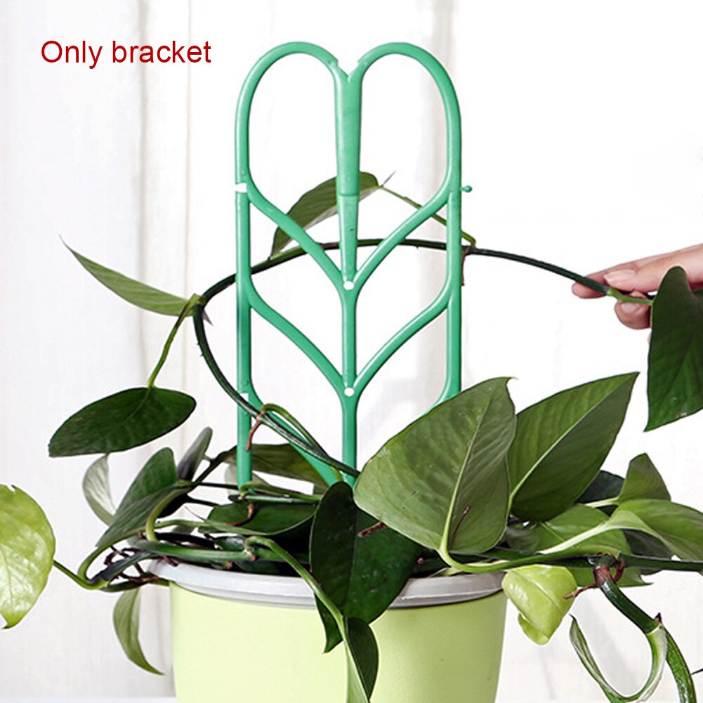 Plant Climber Frames Vine Support Set (3 Pack) by HitMyNeed