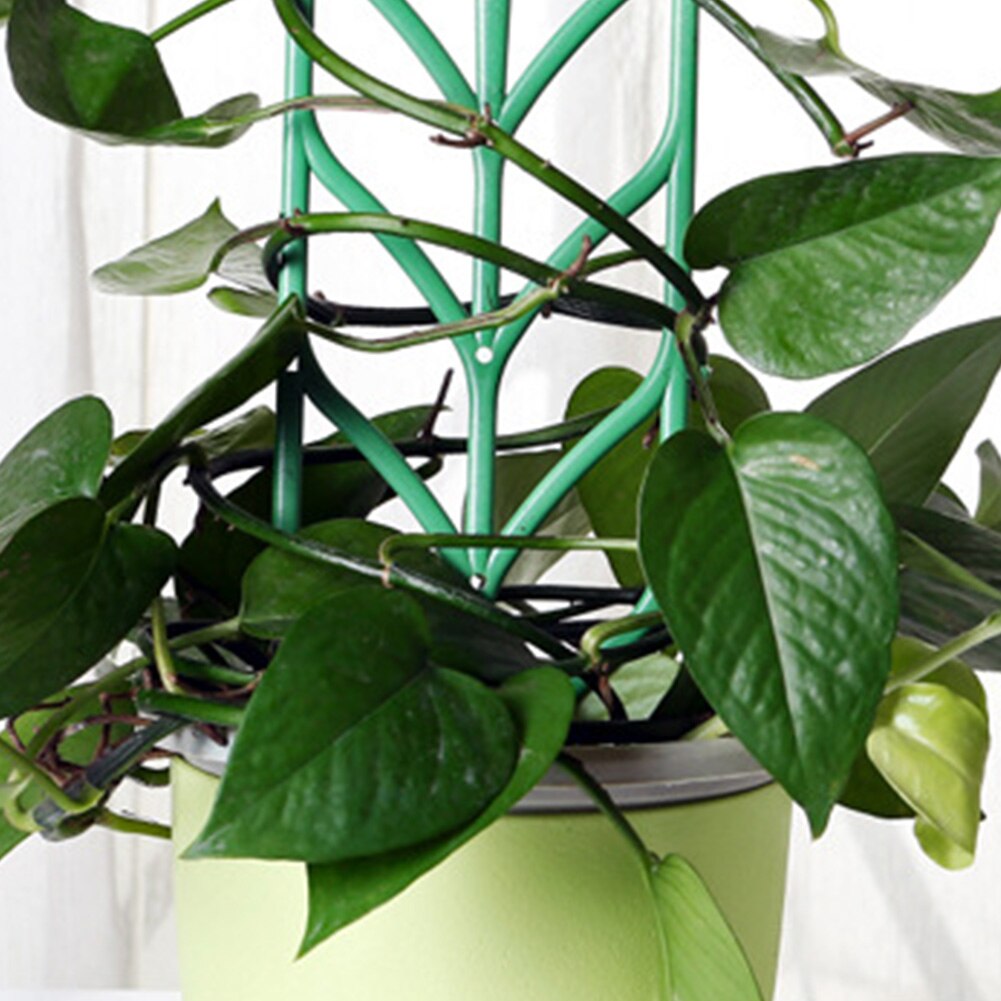 Plant Climber Frames Vine Support Set (3 Pack) by HitMyNeed