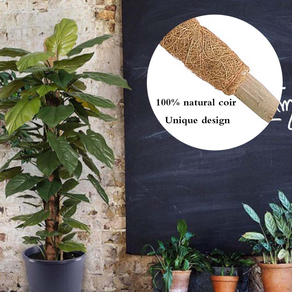 Plant Moss Stick Coco Coir Support Stake 50cm by HitMyNeed