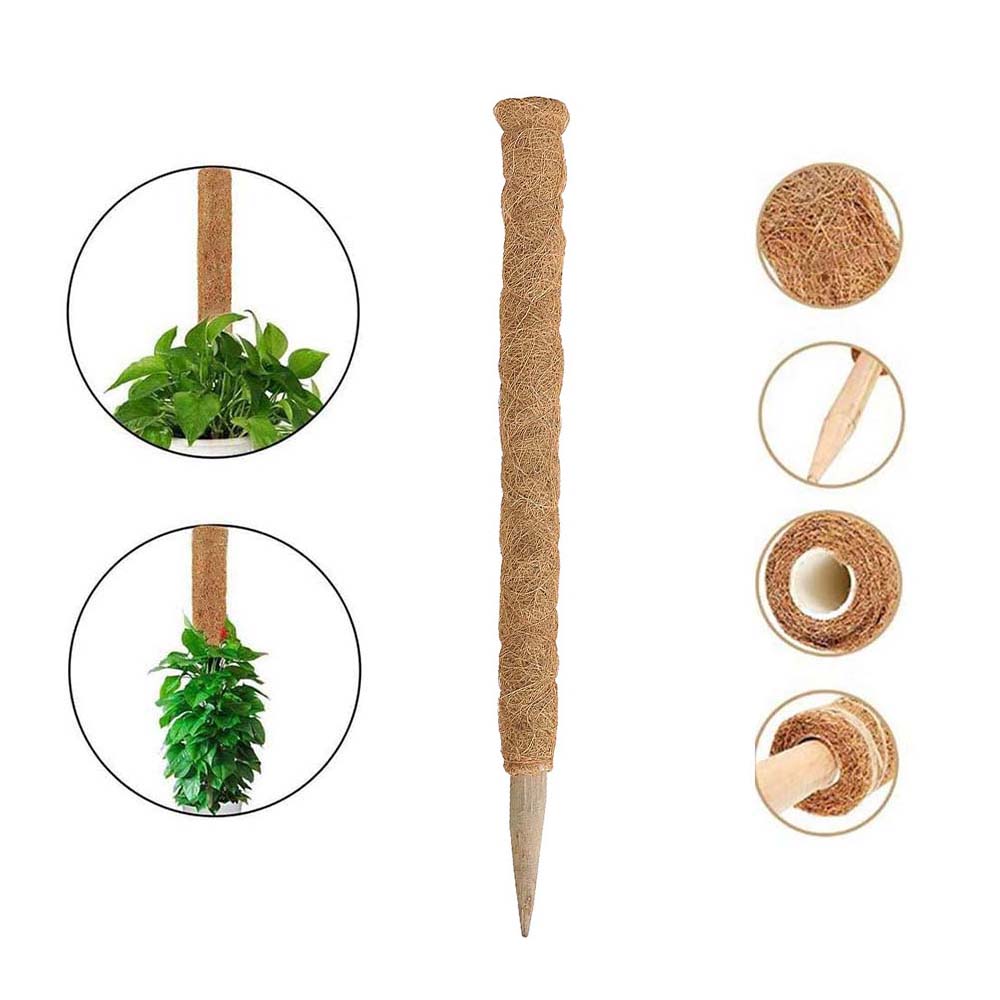 Plant Moss Stick Coco Coir Support Stake 50cm by HitMyNeed
