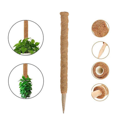 Plant Moss Stick Coco Coir Support Stake 50cm by HitMyNeed