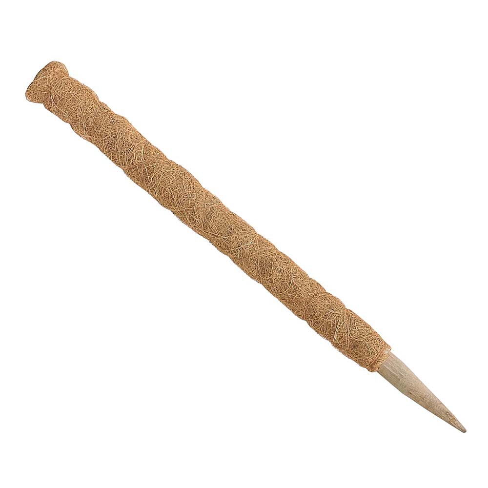 Plant Moss Stick Coco Coir Support Stake 50cm by HitMyNeed