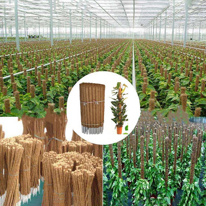 Plant Moss Stick Coco Coir Support Stake 50cm by HitMyNeed