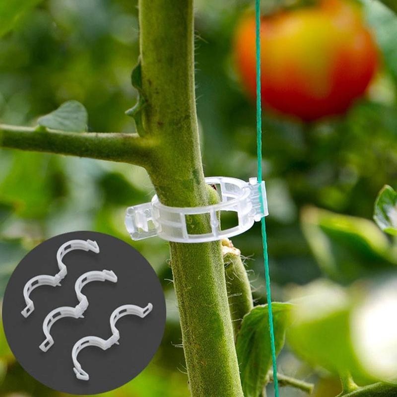 Plant Support Clips 50PCS for Stems and Vines by HitMyNeed