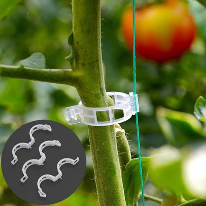 Plant Support Clips 50PCS for Stems and Vines by HitMyNeed