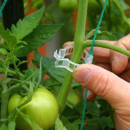 Plant Support Clips 50PCS for Stems and Vines by HitMyNeed